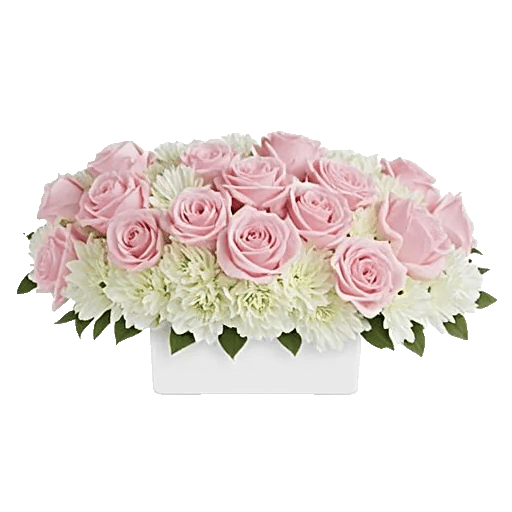 Delicate Petal Cascade