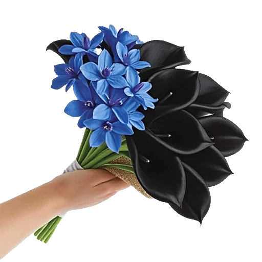 Elegant Calla Lilies