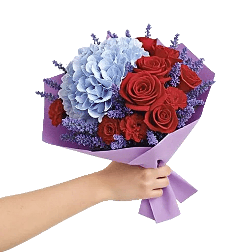 Crimson Rose Elegance