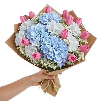 Serene Petal Harmony