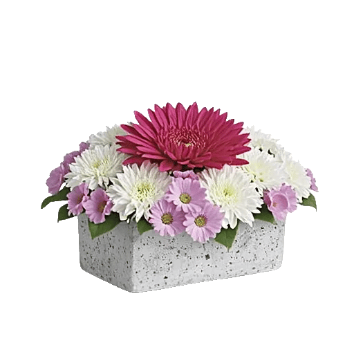 Blush Romantic Centerpiece