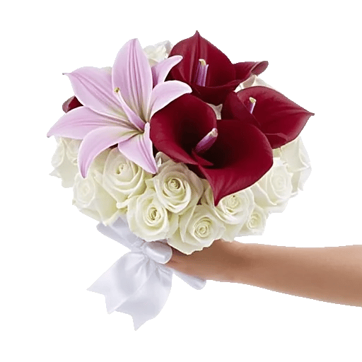 Elegant Calla Lilies