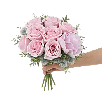 Pastel Pink Roses