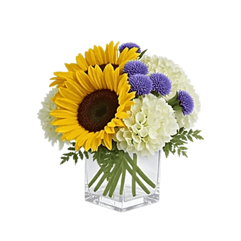 Radiant Bloom Cascade