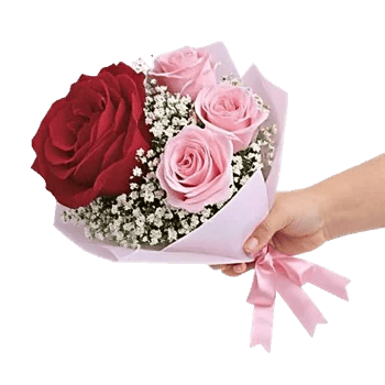 Blushing Rose Symphony