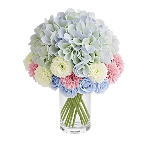 Azure Sky Blooms