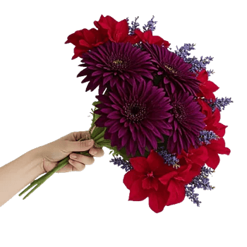 Silken Petal Array