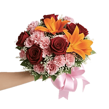 Blushing Rose Symphony