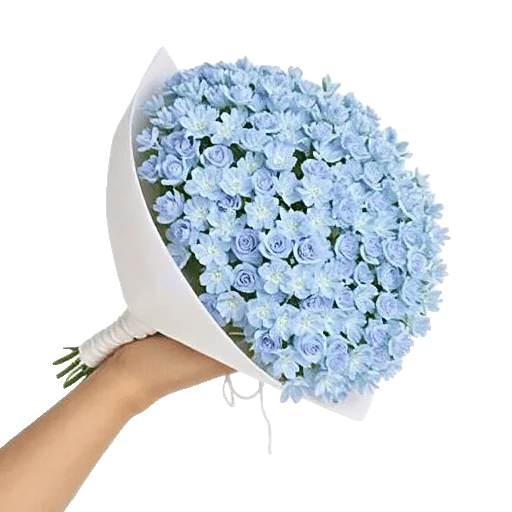 Blossom Petal Serenity