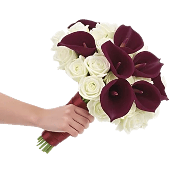 Elegant Calla Lilies