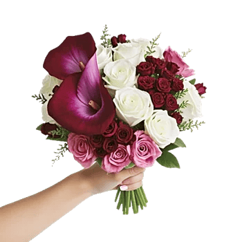 Elegant Calla Lilies