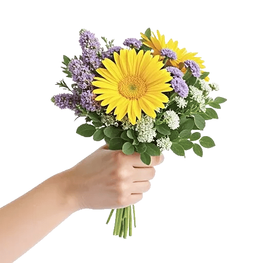 Enchanting Daisy Garden