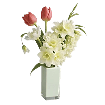 Ivory Blossom Radiance