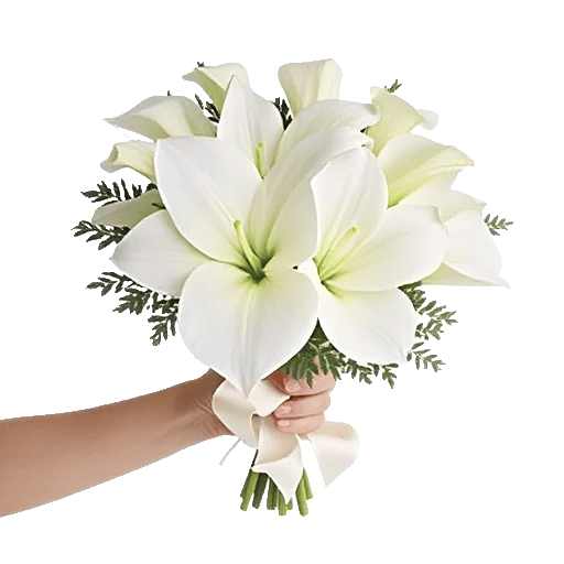 Elegant Calla Lilies