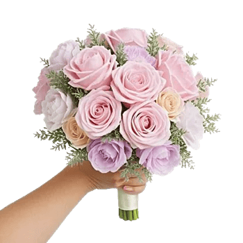 Pastel Pink Roses