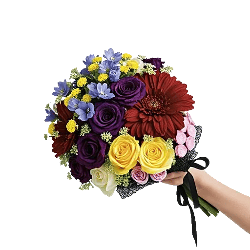 Blossom Petal Serenity