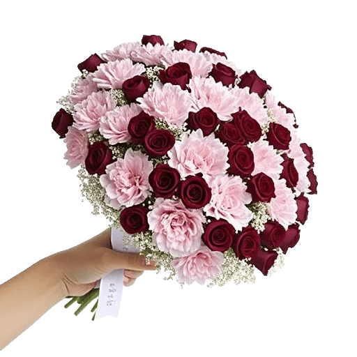 Pastel Pink Roses