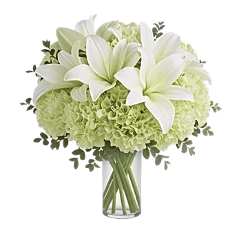 Ivory Blossom Radiance