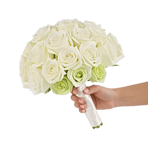 Ivory Garden Grace