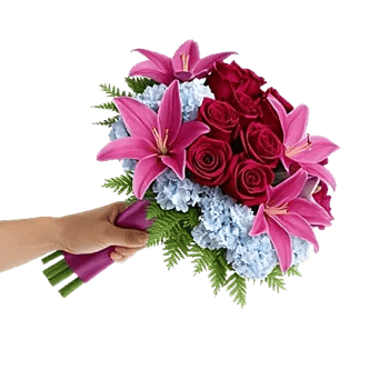 Crimson Rose Elegance