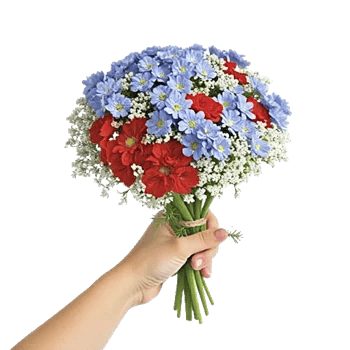 Blossom Petal Serenity