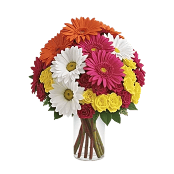 Petal Radiance Bliss