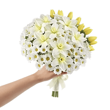 Ivory Garden Grace