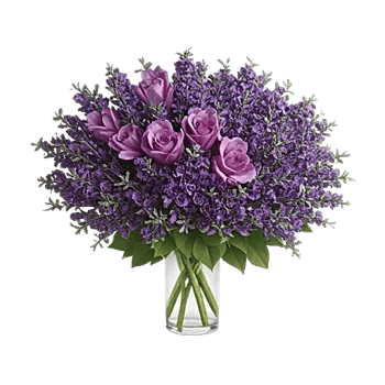 Lavender Bloom Grace