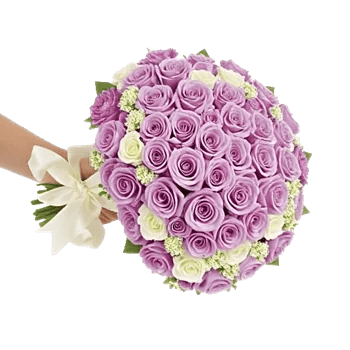 Blushing Rose Symphony