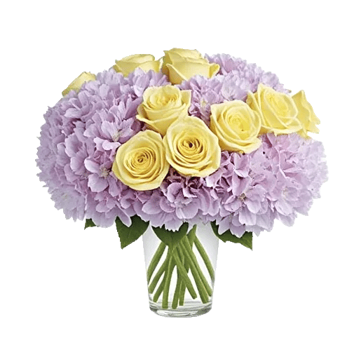 Ivory Blossom Radiance