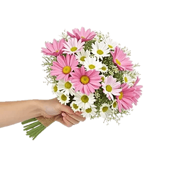 Fresh Meadow Blooms
