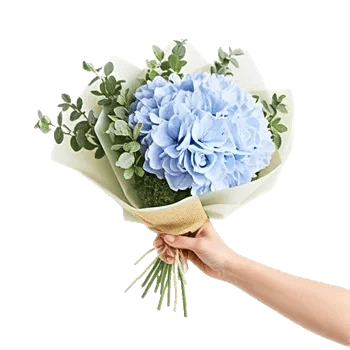 Sapphire Bloom Whisper