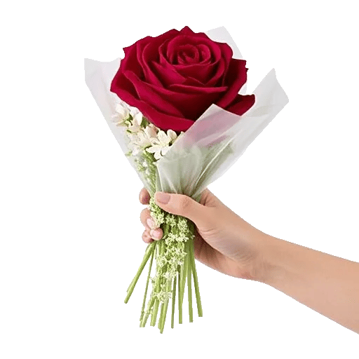 Crimson Rose Elegance