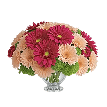 Radiant Bloom Cascade