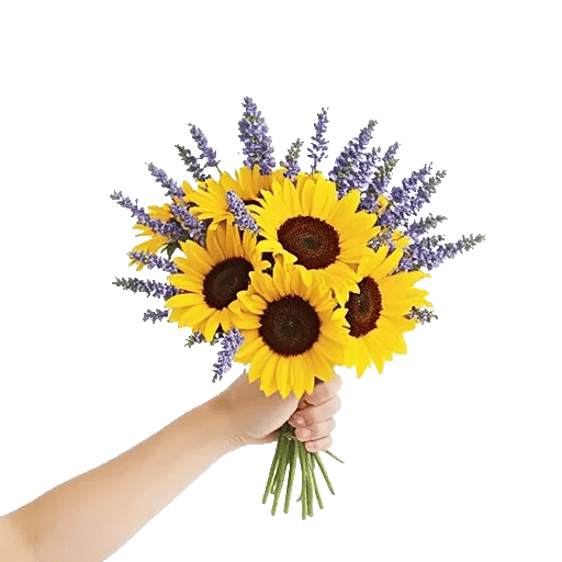 Twinkling Sunflower Dance