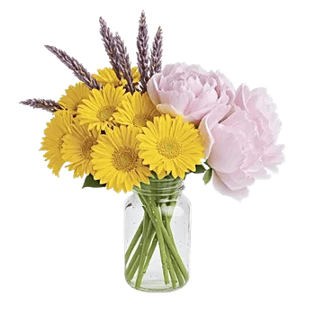 Petal Radiance Bliss