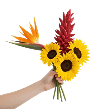 Tropical Sunflower Burst