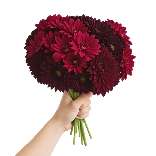 Crimson Blossom Harmony