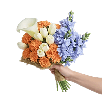 Elegant Calla Lilies