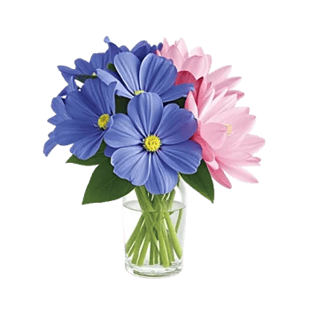 Petal Radiance Bliss