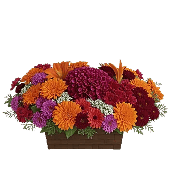 Petal Radiance Bliss