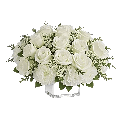 Delicate Petal Cascade