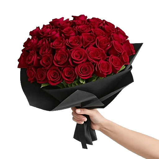 Crimson Rose Elegance