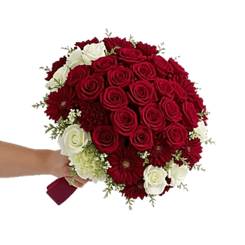 Blushing Rose Symphony