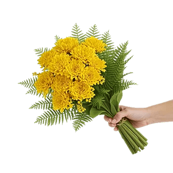 Golden Petal Harmony