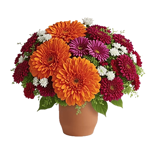 Petal Radiance Bliss