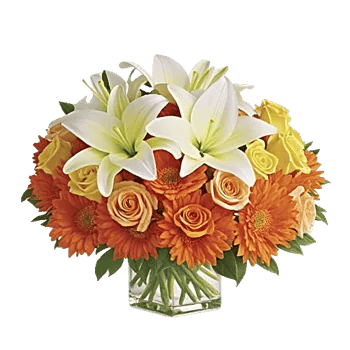 Graceful Lily Display
