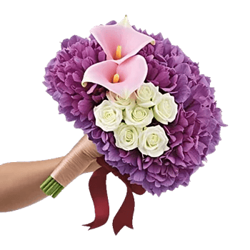 Elegant Calla Lilies