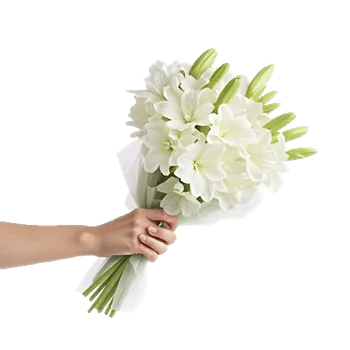 Modern White Orchids