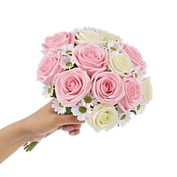 Pink Pastel Roses